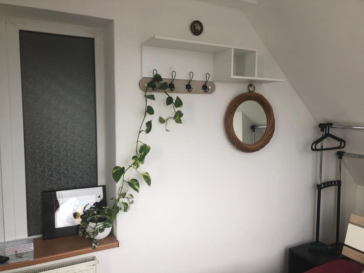 Homestay U Hanky Zdiby 외부 사진